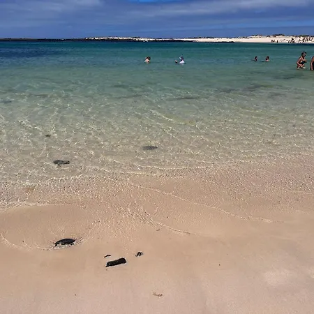 Casa Dunas Oasis アパート *