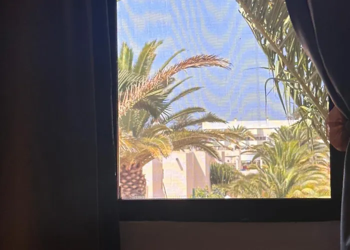 Casa Dunas Oasis アパート