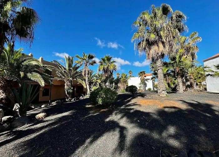 Casa Dunas Oasis コラレホ